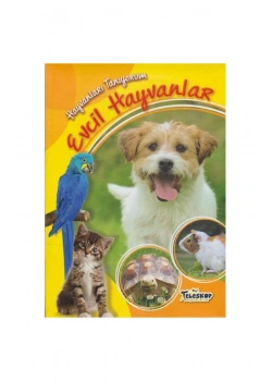 Evcil Hayvanlar   Teleskop