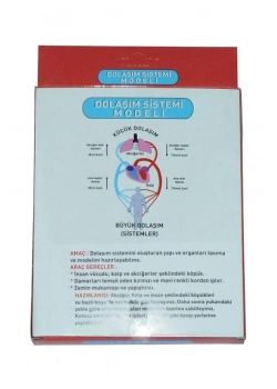 Kar Dolaşım Sistemi Modeli