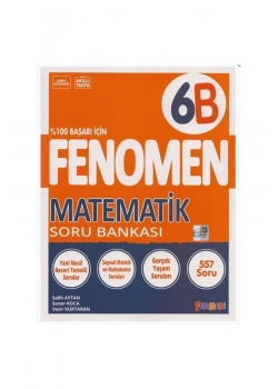 Fenomen 6.Sınıf Matematik Soru Bankası  6B