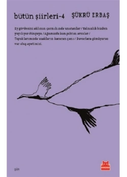 Bütün Şiirleri-4  Şükrü Erbaş  Kırmızı Kedi