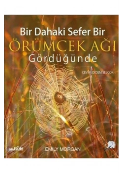 Bir Dahaki Sefer Bir Örümcek Ağı Gördüğünde