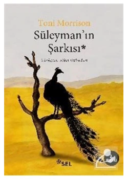 Süleymanın Şarkısı Toni Morrison Sel