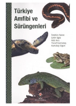 Türkiye Amfibi Ve Sürüngenleri     Tübi