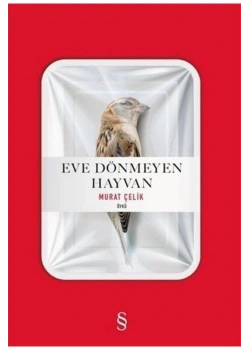 Eve Dönmeyen Hayvan Murat Çelik  Everest
