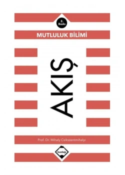 Akış Mutluluk Bilimi  Mihaly Csikszentmihaly  Buzdağı