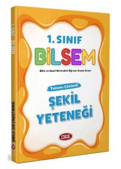Data 1.Sınıf Bilsem Şekil Yeteneği