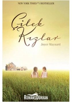 Çilek Kızlar Joyce Maynard Aprıl