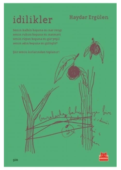 İdilikler  Haydar Ergülen  Kırmızı Kedi