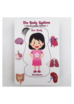 Vücudumuz Eğitime Yardımcı Boyanabilir Zeka Oyuncağı Kız 5+ Yaş Ve Üzeri Moonbeavers