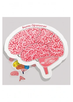 Beynimi Öğreniyorum Eğitime Yardımcı Ahşap Puzzle 5+ Yaş Ve Üzeri Moonbeavers