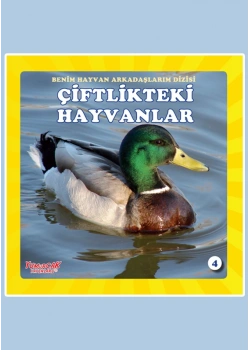 Çiftlik Hayvanları Yumurcak