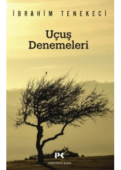 Uçuş Denemeleri Ibrahim Tenekeci Profil