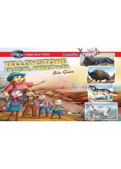 Yellowstone Ulusal Parkında Bir Gün Selimer