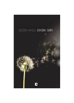 Eksik Şiir  Sezen Aksu  Metis