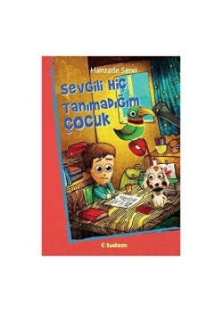 Sevgili Hiç Tanımadığım Çocuk Hanzade Servi Tudem