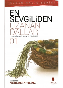 En Sevgiliden Uzanan Dallar 1 - Nureddin Yıldız - Tahlil