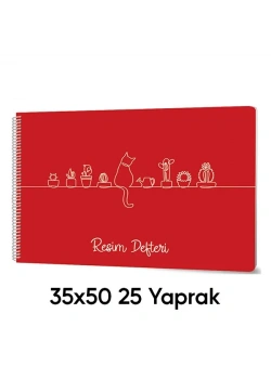 Sevinç 35X50 Pp Kapak 25 Yaprak Tel Spiralli Resim Defteri