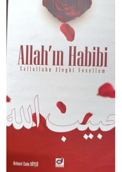 Allahın Habibi Sallallahu Aleyhi Vesellem Yarışma Kitabı Dua Yayın (Lise- Yetişkin Düzeyi)