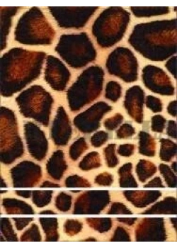 Artebella 1273 K Küçük Kolay Transfer