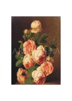 Artebella 1385 K Kolay Transfer