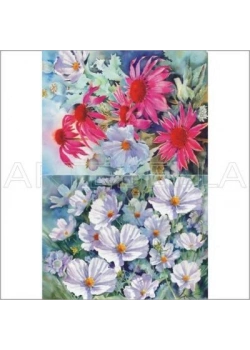 Artebella 1407 K Kolay Transfer