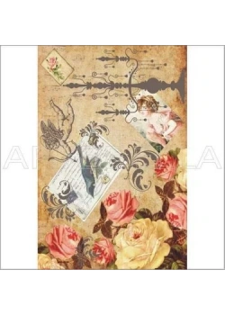 Artebella 1414 V Kolay Transfer