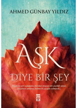 Aşk Diye Birşey. Ahmet Günbay Yıldız Timaş