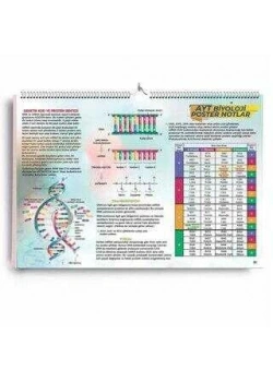 Ayt Biyoloji Poster Notlar Kr Akademi