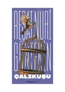Çalıkuşu Reşat Nuri Güntekin - İnkılap