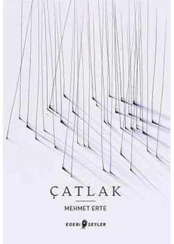 Çatlak Mehmet Erte Edebi Şeyler