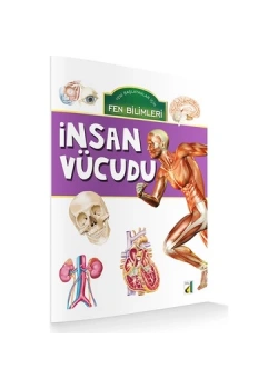 Damla Fen Bilimleri İnsan Vücudu
