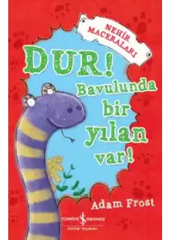 Dur Bavulunda Bir Yılan Var A. Frost İş Bankası