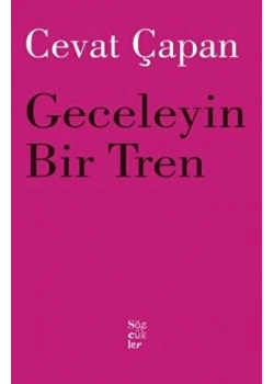 Geceleyin Bir Tren Cevat Çapan Sözcükler