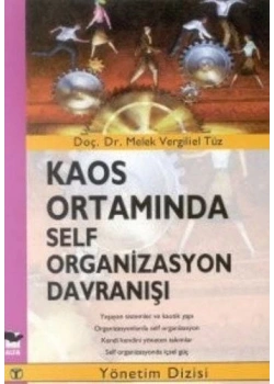 Kaos Ortaminda Self Organi̇Zasyon Davranişi - Alfa