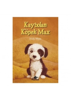 Kaybolan Köpek Max Holly Webb Pegasus