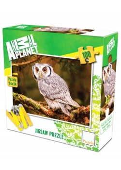 Ks Games Puzzle 100 Bengal Eagle Owl