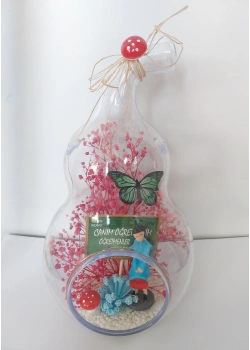 MİNİ TERARYUM FANUS