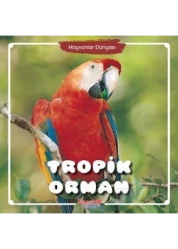Tropik Orman Hayvanlar Dünyası Yumurcak