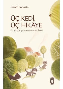 Üç Kedi Üç Hikaye Camillo Bortalato Timaş Çocuk