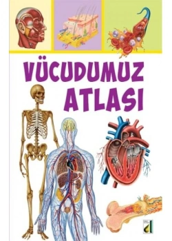 Vücudumuz Atlası- Damla