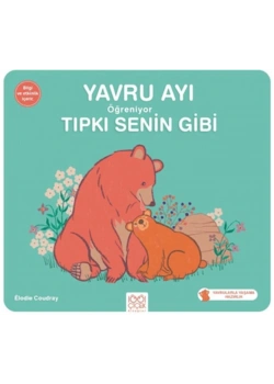 Yavru Ayı Öğreniyor Tıpkı Senin Gibi 1001 Çiçek
