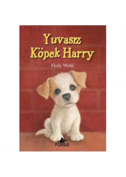 Yuvasiz Köpek Harry Pegasus