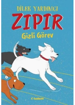 ZIPIR GİZLİ GÖREV TUDEM
