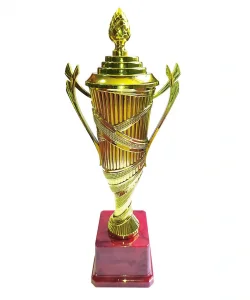 Supertrend 586-80A Kapaklı Kupa Kırmızı Zemin 30cm