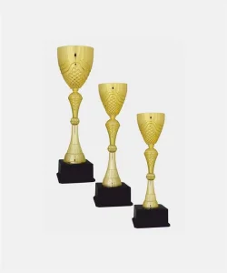 Supertrend C24 Elit Kupa Takımı 3 lü Set