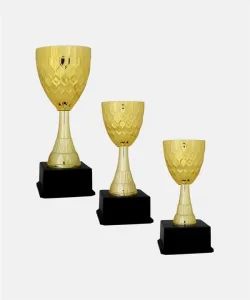 Supertrend C6 Elit Kupa Takımı 3 lü Set