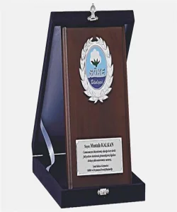 Supertrend M231 15 X 20cm Ahşap Plaket