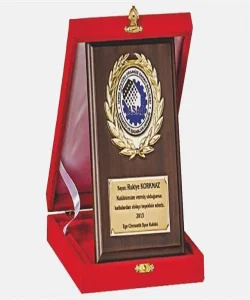 Supertrend M244 12 X 16cm Ahşap Plaket