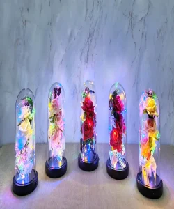 Işıklı Müzikli Cam Fanus İçinde Romantik Gül  SPR5004