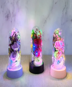 Işıklı Müzikli Romantik Fanus Tekli Gül SPR5007